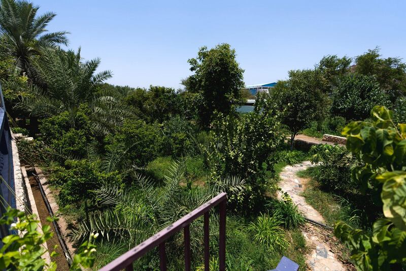 Gardens at Hatta's The Reef Farm