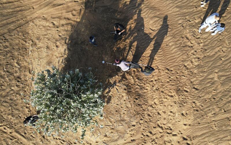 SHARJAH, UNITED ARAB EMIRATES , January 16– 2021 :- Members of the off roaders club collecting trash during the desert clean up drive at the Al Badayer desert area in Sharjah. (Pawan Singh / The National) For News/Stock/Online/Instagram/Standalone/Big Picture. Story by Nick Webster