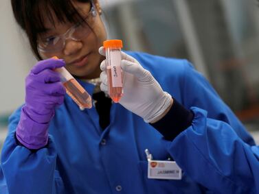 Scientists in Abu Dhabi are at the forefront of stem cell research. Reuters