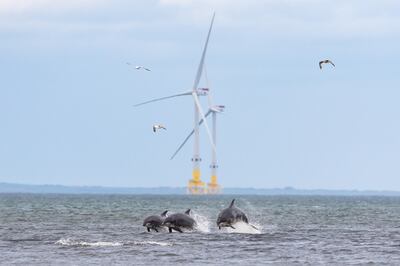 Aberdeen is seeking to swap its oil crown for one of renewables as it seeks to become Europe’s champion of green technology. Photo: Ian Hastie via AREG 