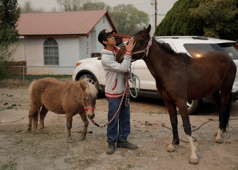 A man prepares to leave the area with his animals as authorities battle the nearby Hermits Peak and Calf Canyon wildfires. Reuters