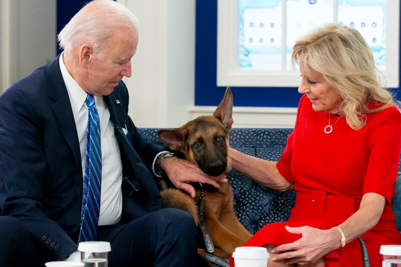 The president and the first lady pet their dog, a German Shepherd puppy named Commander, while virtually meeting with United States military service members on Christmas Day in the White House. EPA