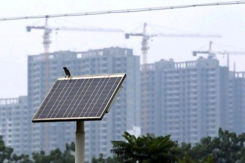 A sparrow stands on solar panel for a street light n Baoding, China. AP Photo