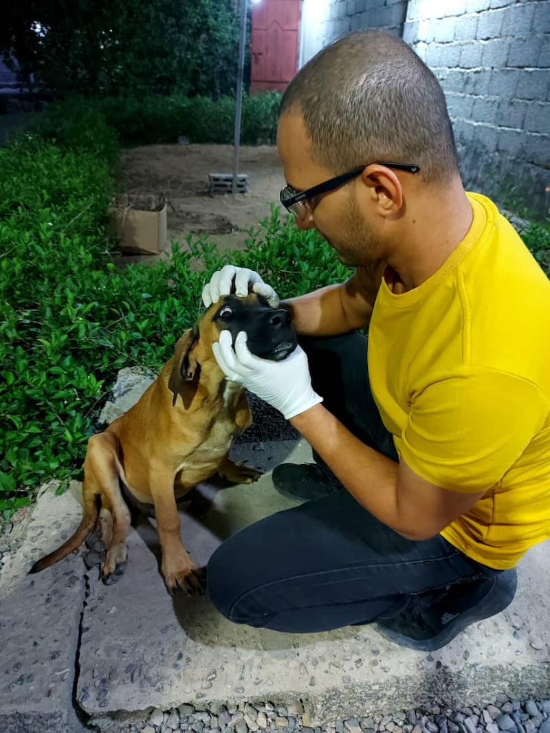 Galal Al-Amrawi still cares for animals at his dog training academy in Aden. Photo: Galal Al-Amrawi