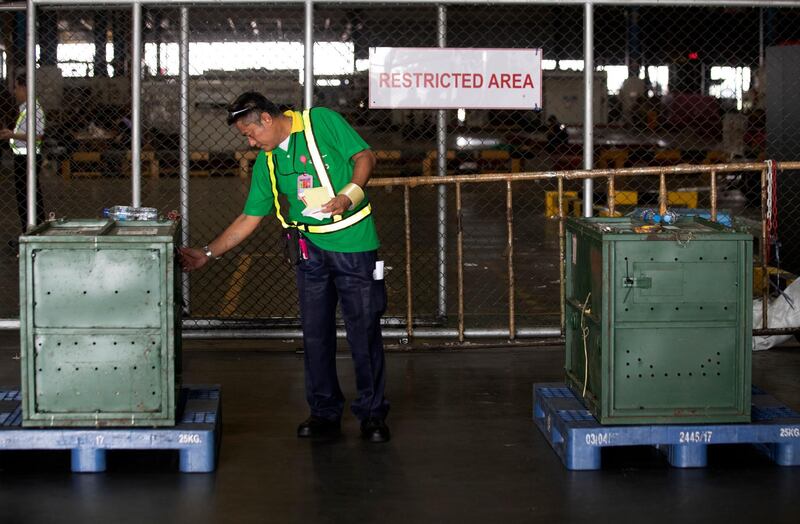 A Thai official checks the cages of two orangutans, Giant, left and Cola, right, before they are repatriated to their native habitats in Indonesia in a collaborative effort to combat the illicit wildlife trade. AP