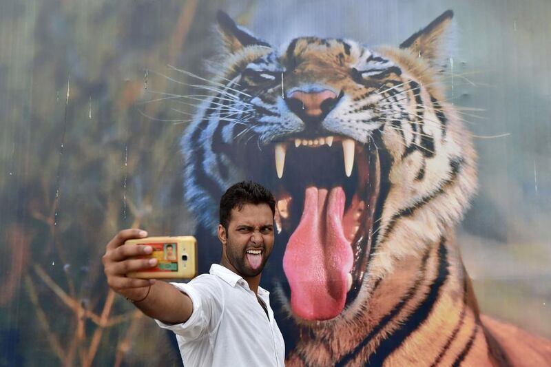 An Indian visitor takes a selfie in front of a picture of a tiger on the last day of the Bharat Parav festival in New Delhi. Sajjad Hussain / AFP Photo