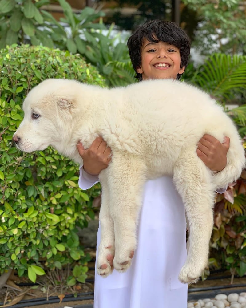 "Tiny" the puppy is held by Mohammed bin Ahmed Jaber Al Harbi, or "Maj", the son of Sheikh Hamdan's long-time friend Ahmed Jaber Al Harbi. Instagram / @faz3