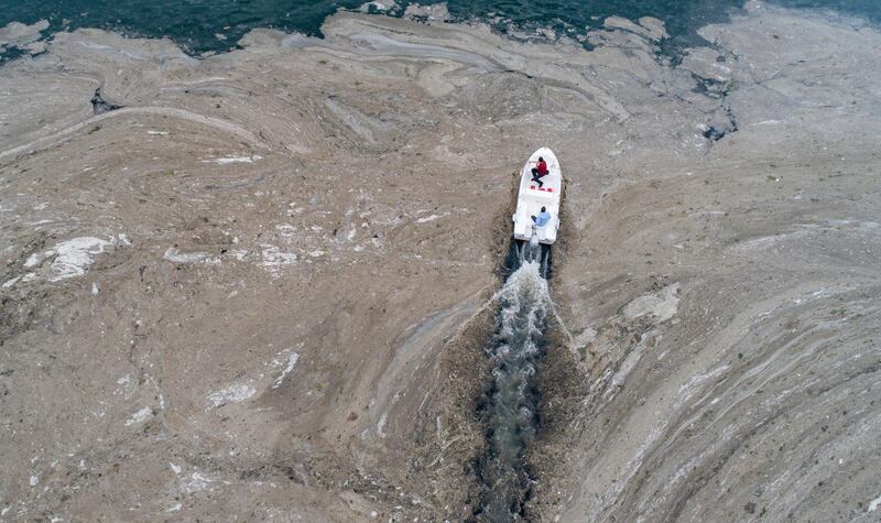 Water temperatures in the Marmara sea are 2.5 degrees above the average of the last 40 years. EPA