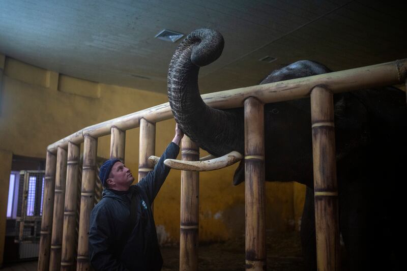 Animal keeper Kirilo Trantin comforts an elephant at Kyiv Zoo. AP