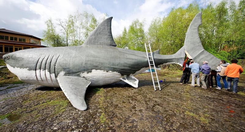 Helpers carry the tailfin to attach it to a life-size reconstruction of a ‘Megalodon’, a prehistoric giant shark, in the Dinosaur Park in Muenchehagen, Germany, 14 April 2014. With a length of 15 to 20 meters the ‘Megalodon’ is suggested to look like the ‘big brother’ of the great white shark.  Christoph / EPA
