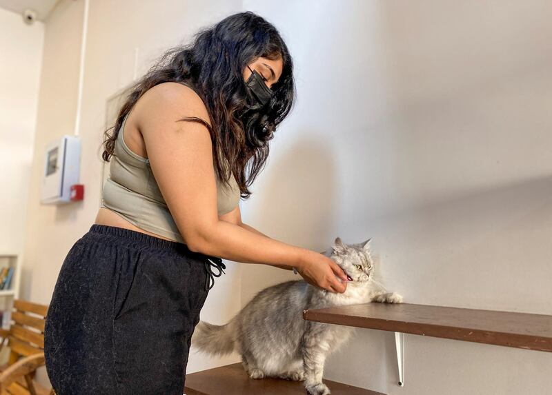 Human and feline meet at the Ailuromania Cat Cafe, where customers also go to enjoy the company of cats when their circumstances mean they cannot keep them.  Reuters