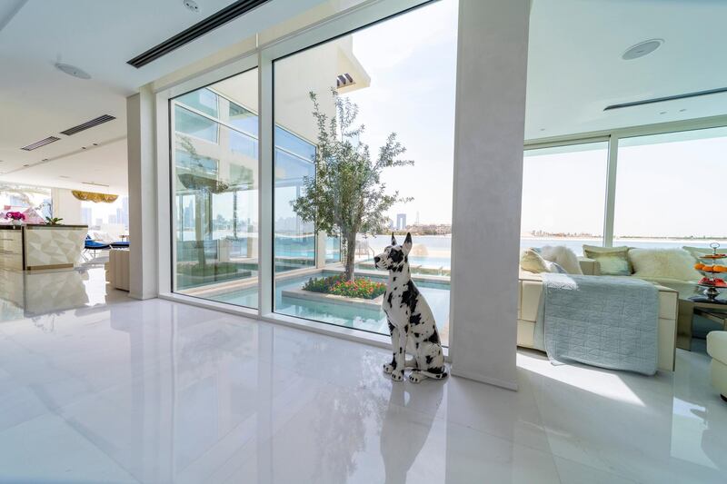 Property of the week, Front M, Palm Jumeirah. 
Credit: Black Brick Property
