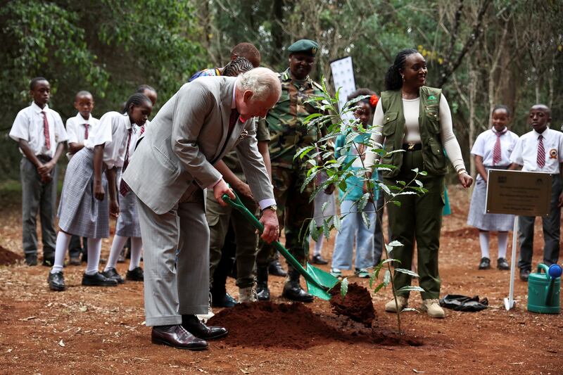 King Charles III helps to plant a tree during a visit to Karura urban forest in Kenya to highlight the crucial role of green spaces and forests in sustainable cities. Getty Images