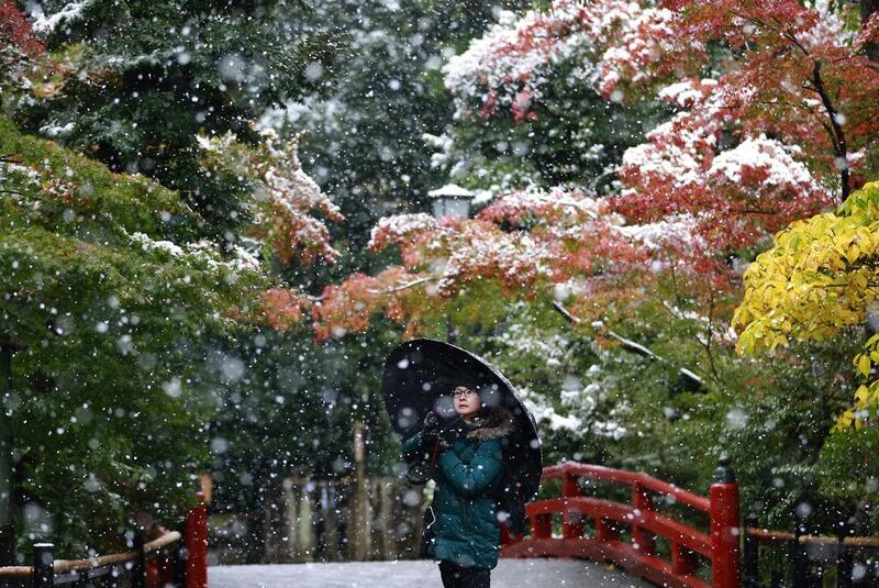 A visitor takes a photo in the snow at the Tsurugaoka Hachimangu Shrine in Kamakura, near Tokyo. Shizuo Kambayashi / AP Photo