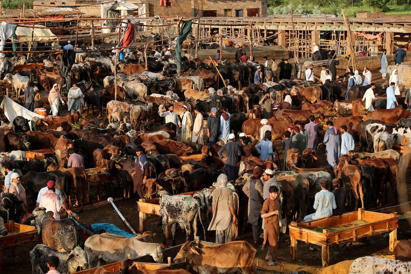 A market in Peshawar, Pakistan. Eid Al Adha is one of the holiest Muslims holidays. EPA 
