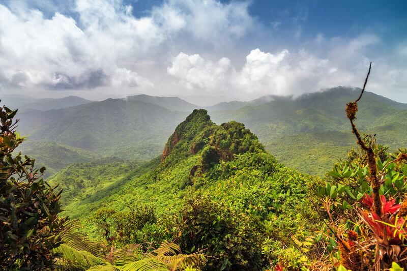 10. El Yunque National Forest, Puerto Rico.