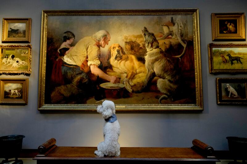 Dog Lily with paintings during a Christie's pre-auction photocall on English country house contents in London. AP Photo

