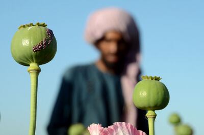 Narcotics was one item on the agenda in Doha. It is women and girls who bear the brunt of rural poverty exacerbated by a 2022 Taliban crackdown on opium poppy cultivation. AFP