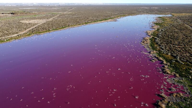 Chemical pollution is being blamed for contaminating the Chubut River that feeds the Corfo lagoon and other water sources in the region