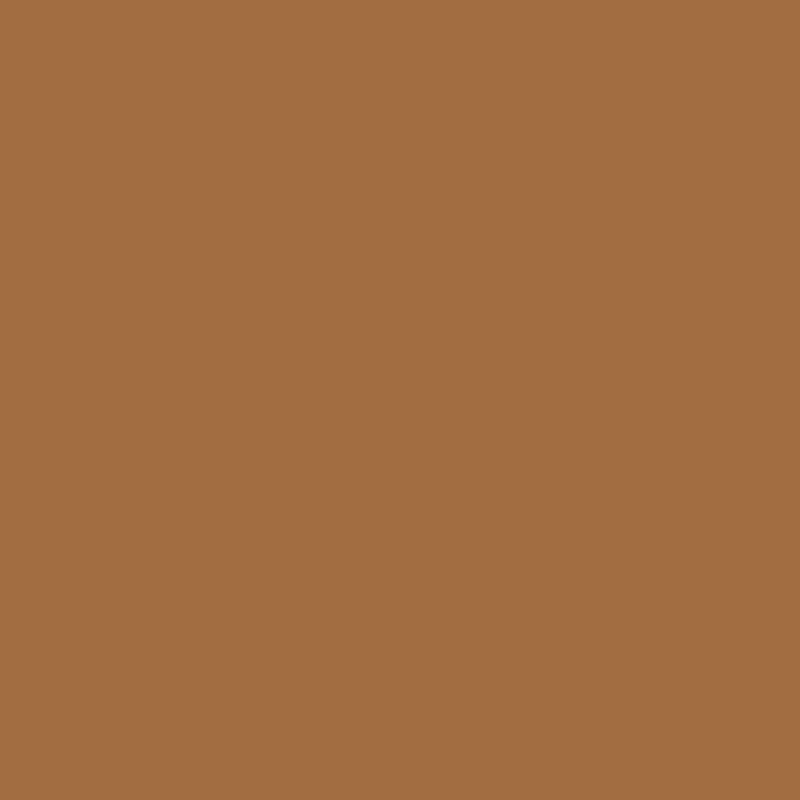 Sanctuary shade, Antiquarian Brown SW0045. Courtesy Sherwin-Williams 