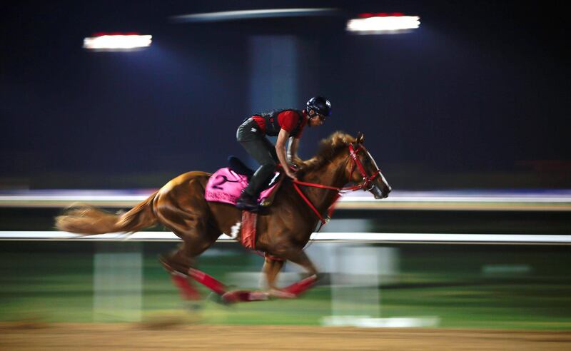 A jockey rides France Go De Ina from Japan. EPA