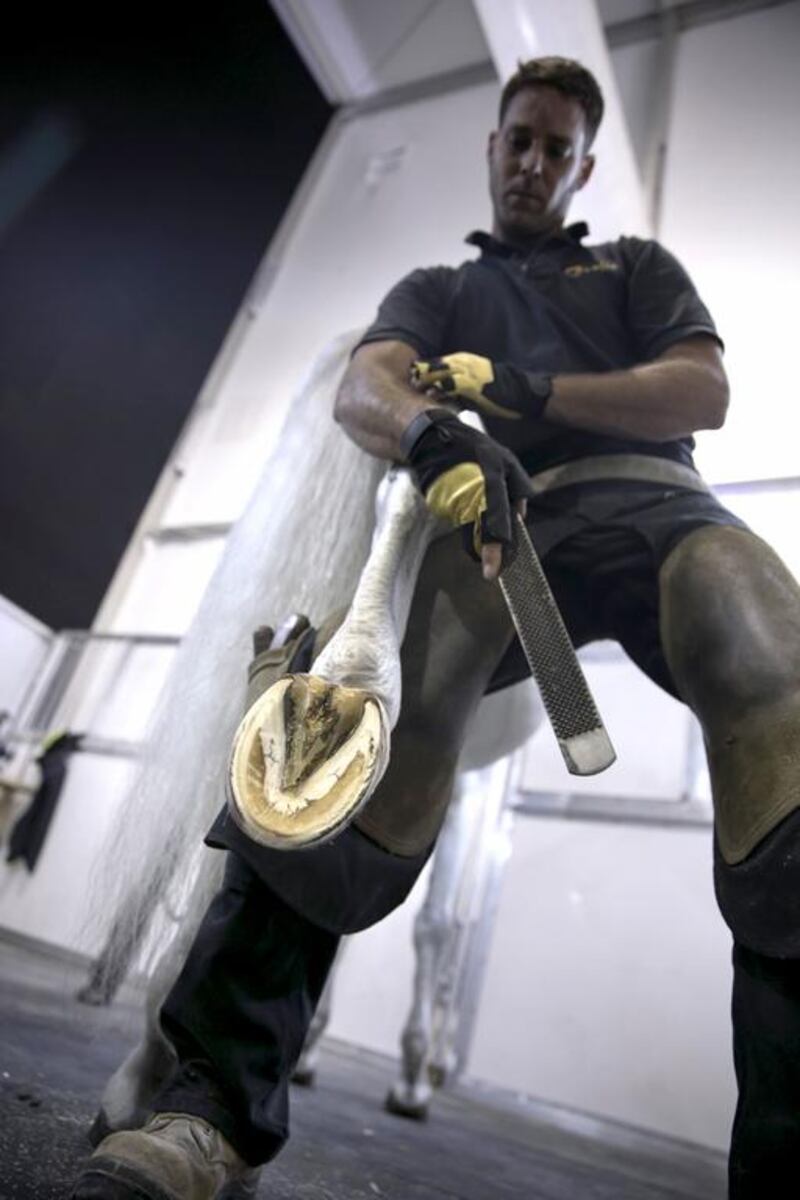 A professional ferrier, David Gingras, 34, from Quebec, Canada, demonstrates care of a stallion's hoof at the Cavalia stables. Silvia Razgova / The National