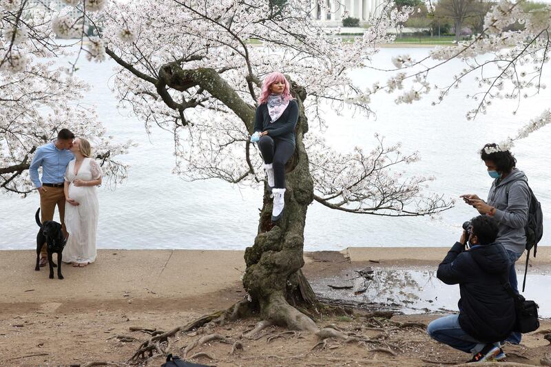 Visitors enjoy the annual cherry blossom near the National Mall in Washington. Reuters