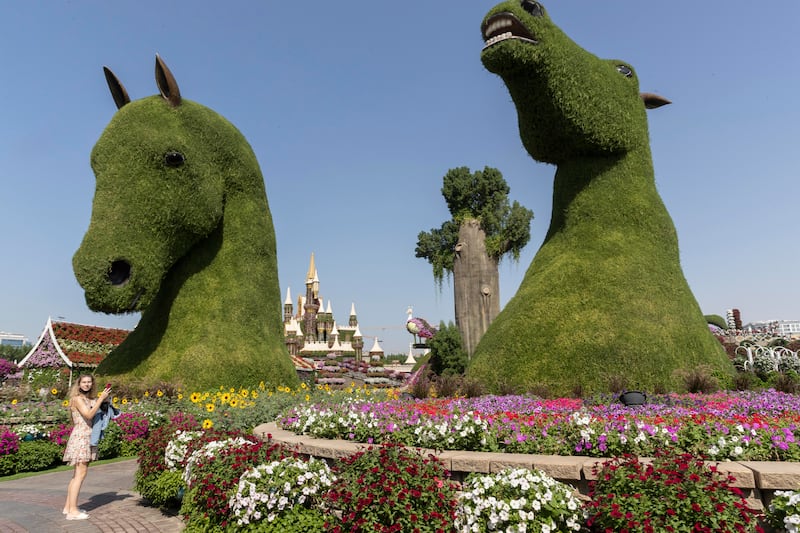 Dubai Miracle Garden will close at the end of May to prepare for its next season. Antonie Robertson / The National