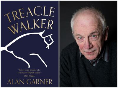 ‘Treacle Walker’ by Alan Garner delves into the mind of a young boy trying to make sense of the world around him. Photo: Booker Prize