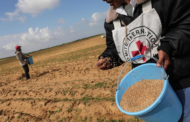 Palestinian farmers, allowed by Israel to tend their land in a buffer zone on the border between Israel and the Gaza Strip for the first time since 2006, plant seeds with the help of the International Committee of the Red Cross (ICRC)in a field on the eastern outskirts of the city of Rafah in southern Gaza on January 29, 2018.
A deal, brokered by the ICRC after lengthy negotiations, saw a number of farmers step foot on land they had not been able to access since Israel began imposing punitive measures on the Palestinian enclave more than a decade ago to isolate the strip's leaders Hamas.


 / AFP PHOTO / SAID KHATIB