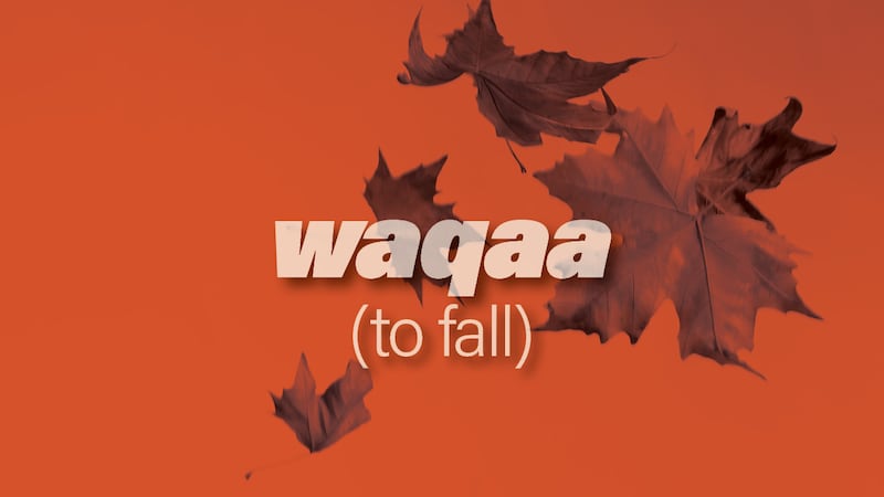 Waqaa, the Arabic word for fall, can signify a loss of power, stature, health or grace