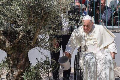 Pope Francis waters an olive tree during a visit to Scholas Occurrentes in Cascais, Portugal. EPA