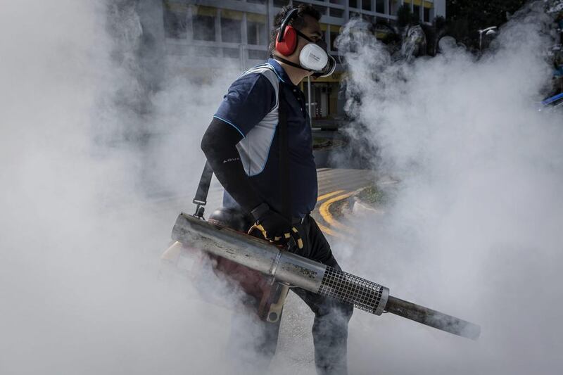 A pest control worker fumigates the grounds of a apartment block in Singapore. Ulet Ifansasti / Getty Images