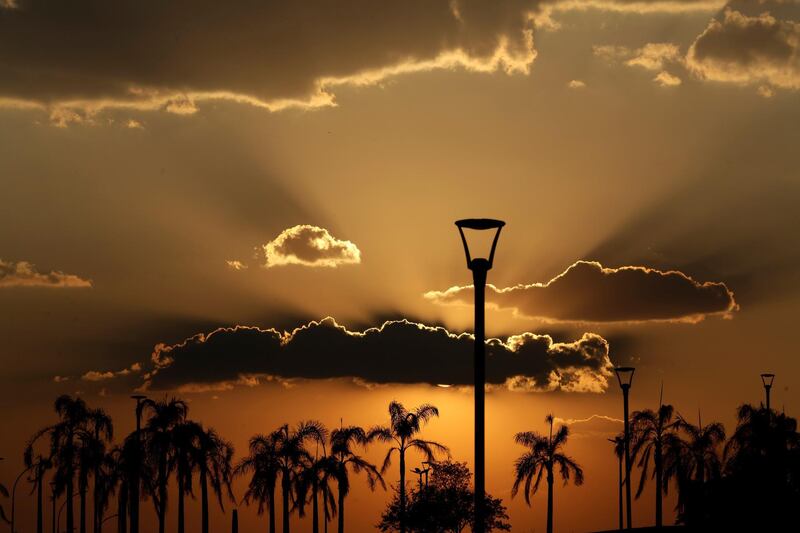 Palm trees in City Park are silhouetted at dusk after temperatures peaked at 40 degrees Celsius in Brasilia, Brazil. AP Photo