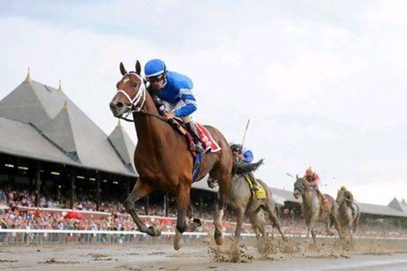 Alpha, with Ramon A Dominguez aboard, rewarded trainer Kiaran McLaughlin faith by capturing the Jim Dandy at Saratoga on July 28. McLaughlin points Alpha to the Grade 1 Travers Stakes on Saturday, also at Saratoga.S