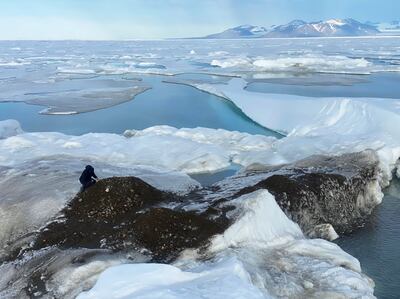 The small island, measuring roughly 30 metres across and a peak of about three metres, consists of seabed mud as well as moraine – soil and rock left behind by moving glaciers. Reuters