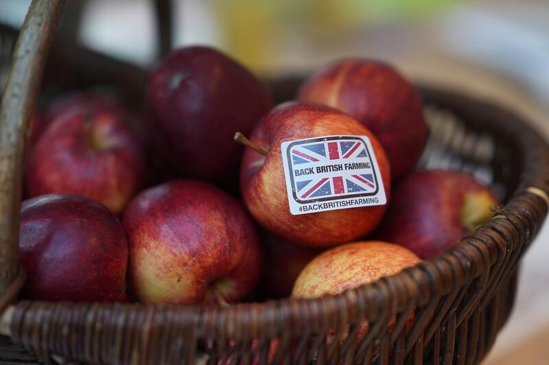 BIRMINGHAM, ENGLAND - FEBRUARY 20:  In this photo illustration a 'Back British Farming' sticker adorns an apple during the National Farmers Union annual conference at the International Conference Centre on February 20, 2018 in Birmingham, England. Earlier Environment secretary Michael Gove revealed more on his plans for post-Brexit agriculture to the National Farmers' Union (NFU) conference.  (Photo Illustration by Christopher Furlong/Getty Images)
