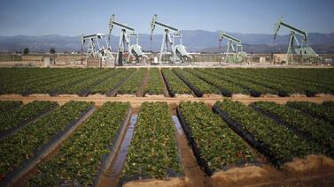 Oil pump jacks next to a strawberry field in California. Brent is expected to average $88 a barrel and $93 a barrel in the third and fourth quarters, respectively. Reuters