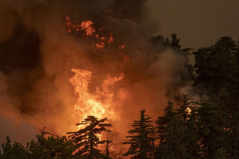 The Bobcat Fire consumes a forest in the Angeles National Forest, north of Monrovia, California. AFP
