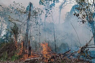 A fire burns in a jungle area of the Jacunda National Forest, a natural park near Porto Velho, Rondonia, Brazil. EPA