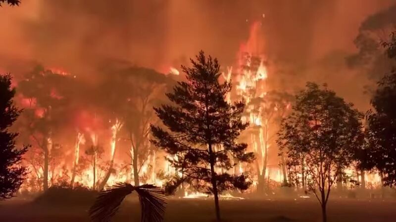 A fire blazes across bush as seen from Mount Tomah in New South Wales, Australia in this still image obtained from social media video. Reuters
