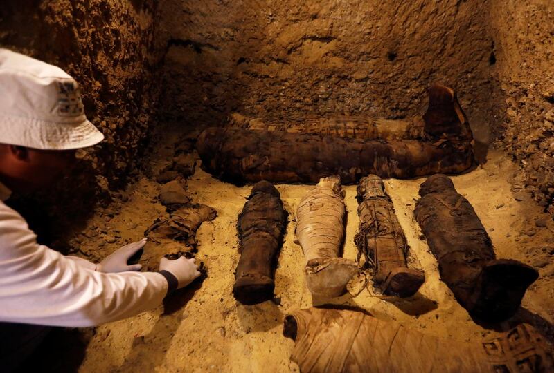 An Egyptian archaeologist examines mummies inside a tomb during the presentation of a new discovery at Tuna el-Gebel, Egypt. Reuters