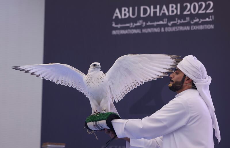 A Pure Gyr American ultra-white falcon was sold for $272,257 at the Abu Dhabi International Hunting and Equestrian Exhibition. Photo: Adihex