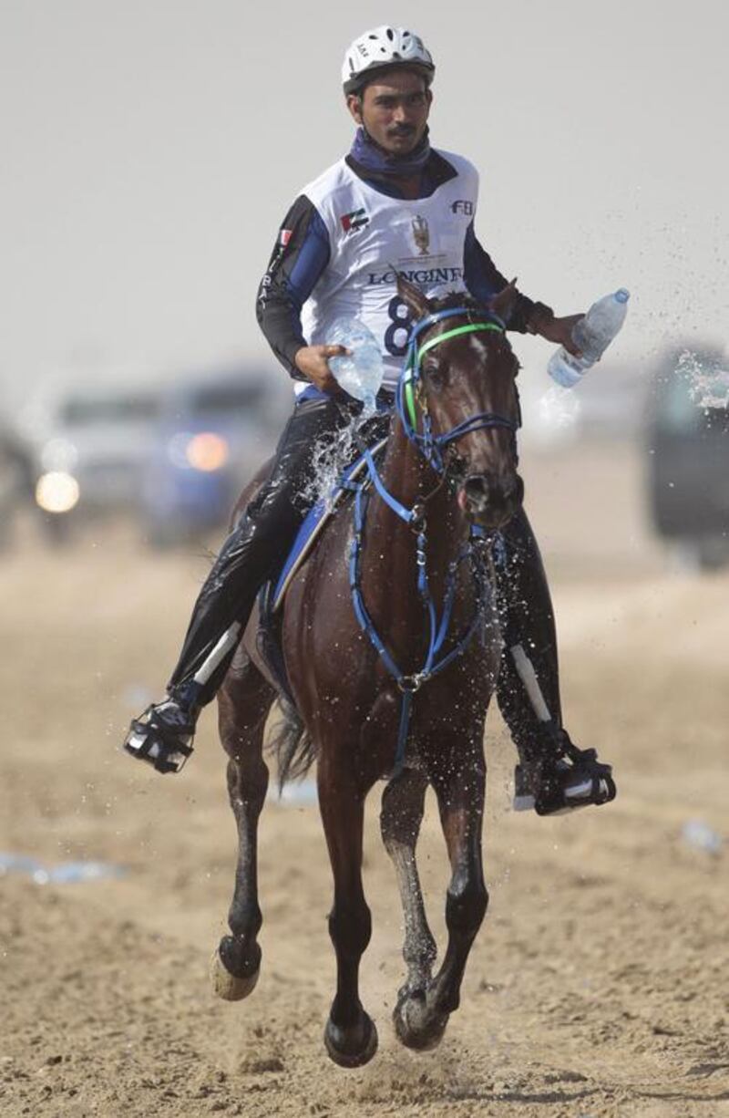 Aaftab Khan of Al Shababi Endurance Stables cools down his mount Vicente during the race.