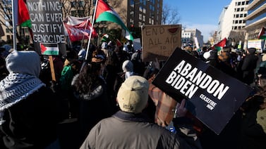 Pro Palestinian demonstrators near the US Capitol on February 1. Getty Images