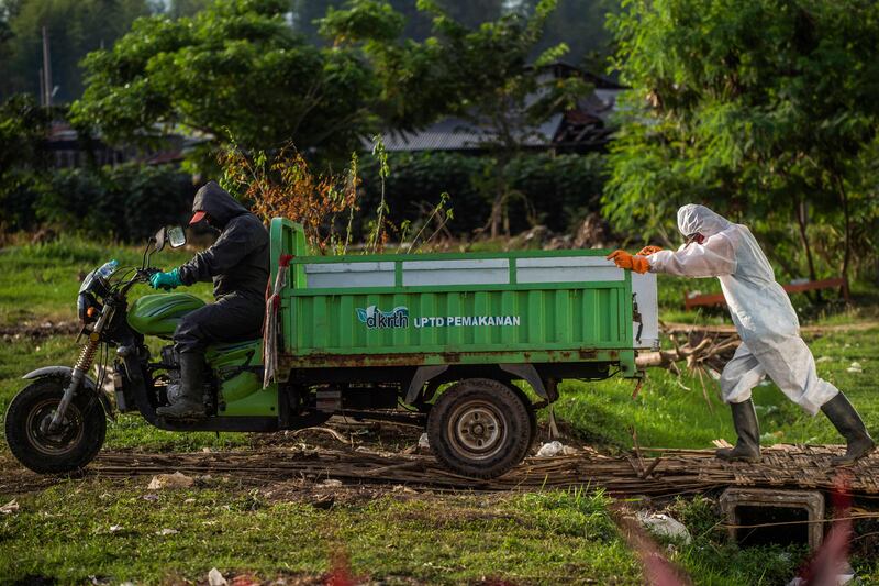 Graveyard workers move the coffin of a Covid-19 coronavirus victim with a vehicle at the Keputih cemetery in Surabaya of East Java.