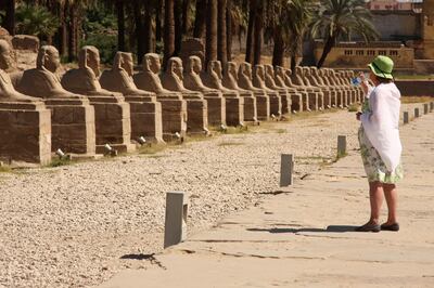 A tourist views Avenue of the Sphinxes in front of  Luxor Temple in Luxor, Egypt on September 24, 2008. Photo: Victoria Hazou for the National 