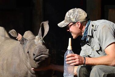 The seven-month-old rescued baby rhino has been named Yster, which means iron. Courtesy Care for Wild / Instagram
