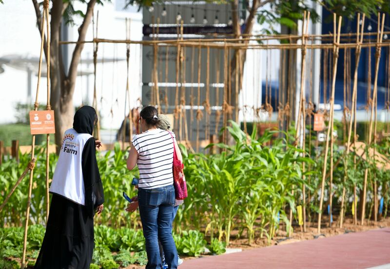 Expo City Farm attracted families, non-government groups and Cop delegates. Khushnum Bhandari / The National
