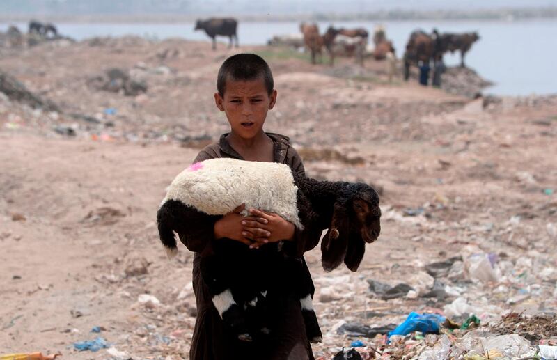 An Afghan refugee boy carries a sheep near his makeshift house in Lahore on June 19, 2019, ahead of World Refugees Day. World Refugee Day is observed June 20 each year internationally to raise awareness of the situation of refugees throughout the world. / AFP / ARIF ALI
